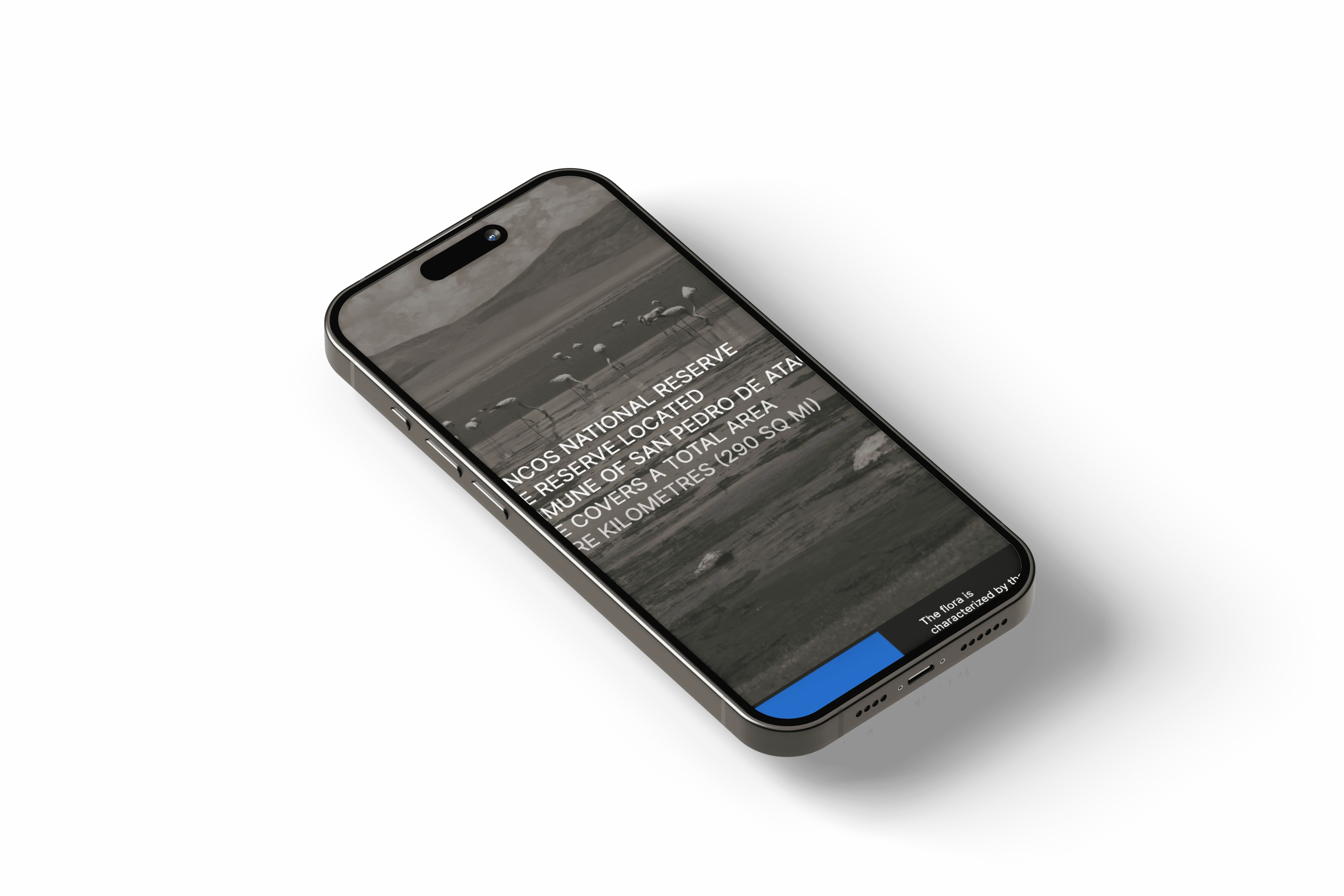 A beautiful landscape