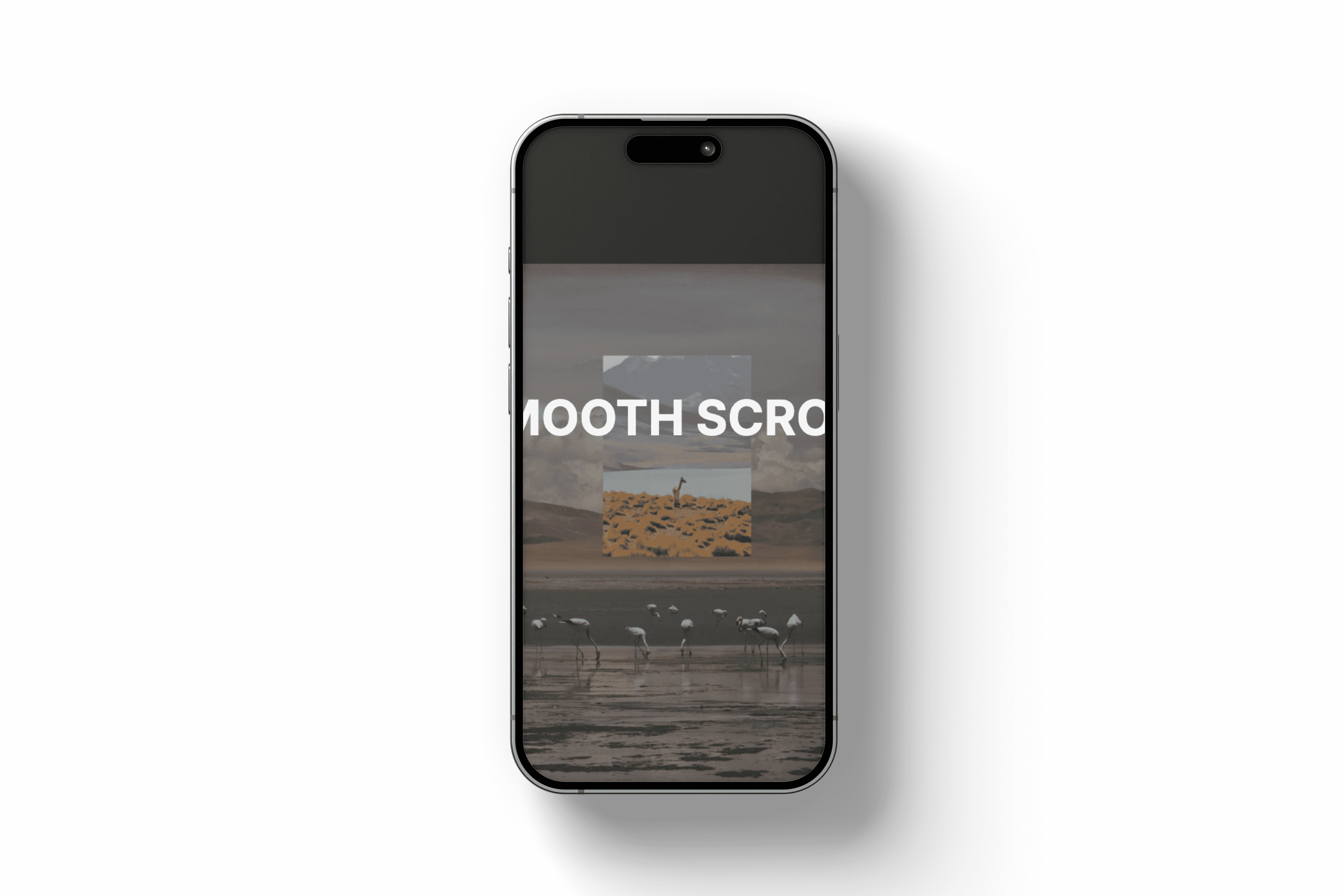 A beautiful landscape