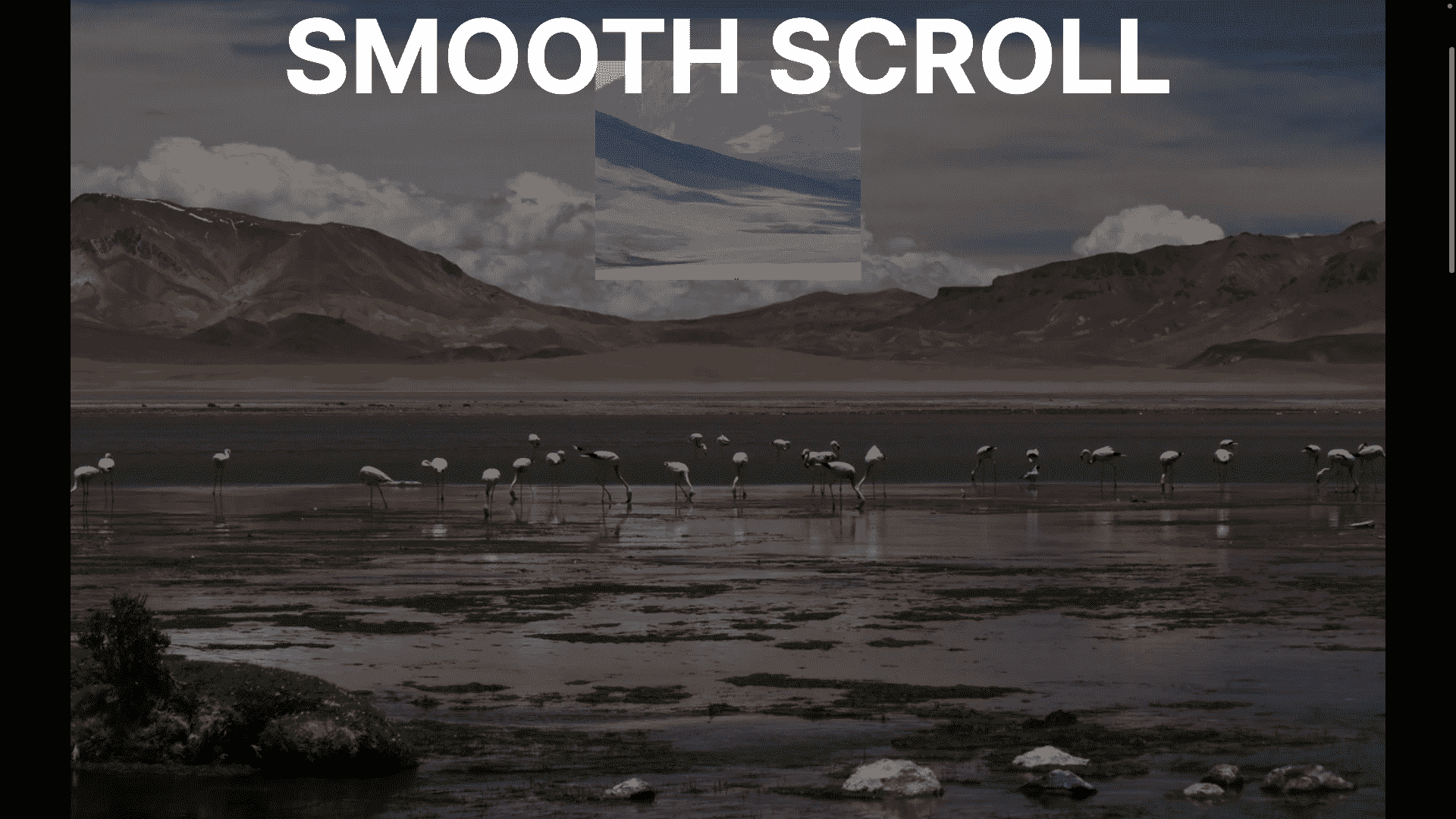 A beautiful landscape