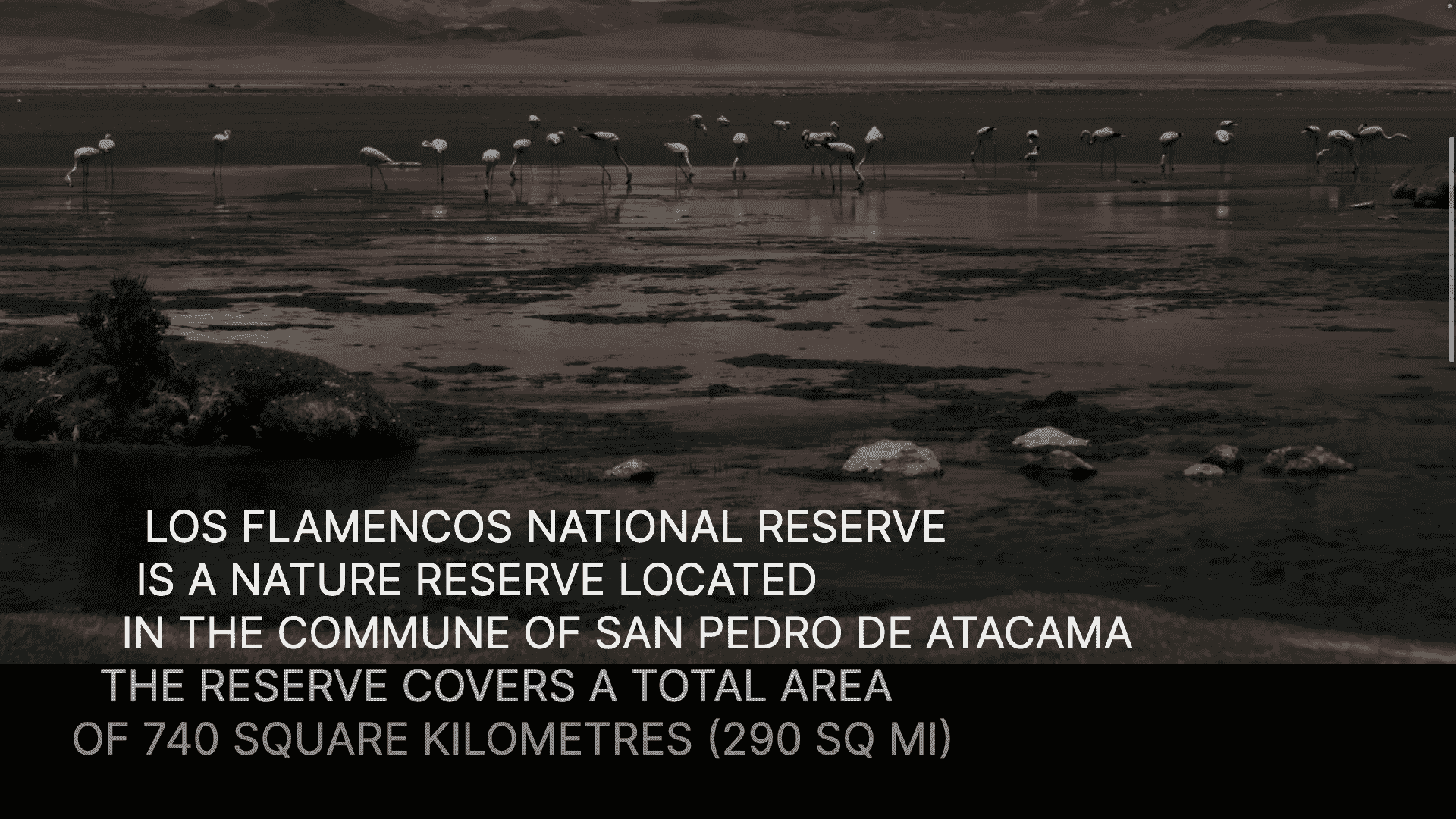 A beautiful landscape