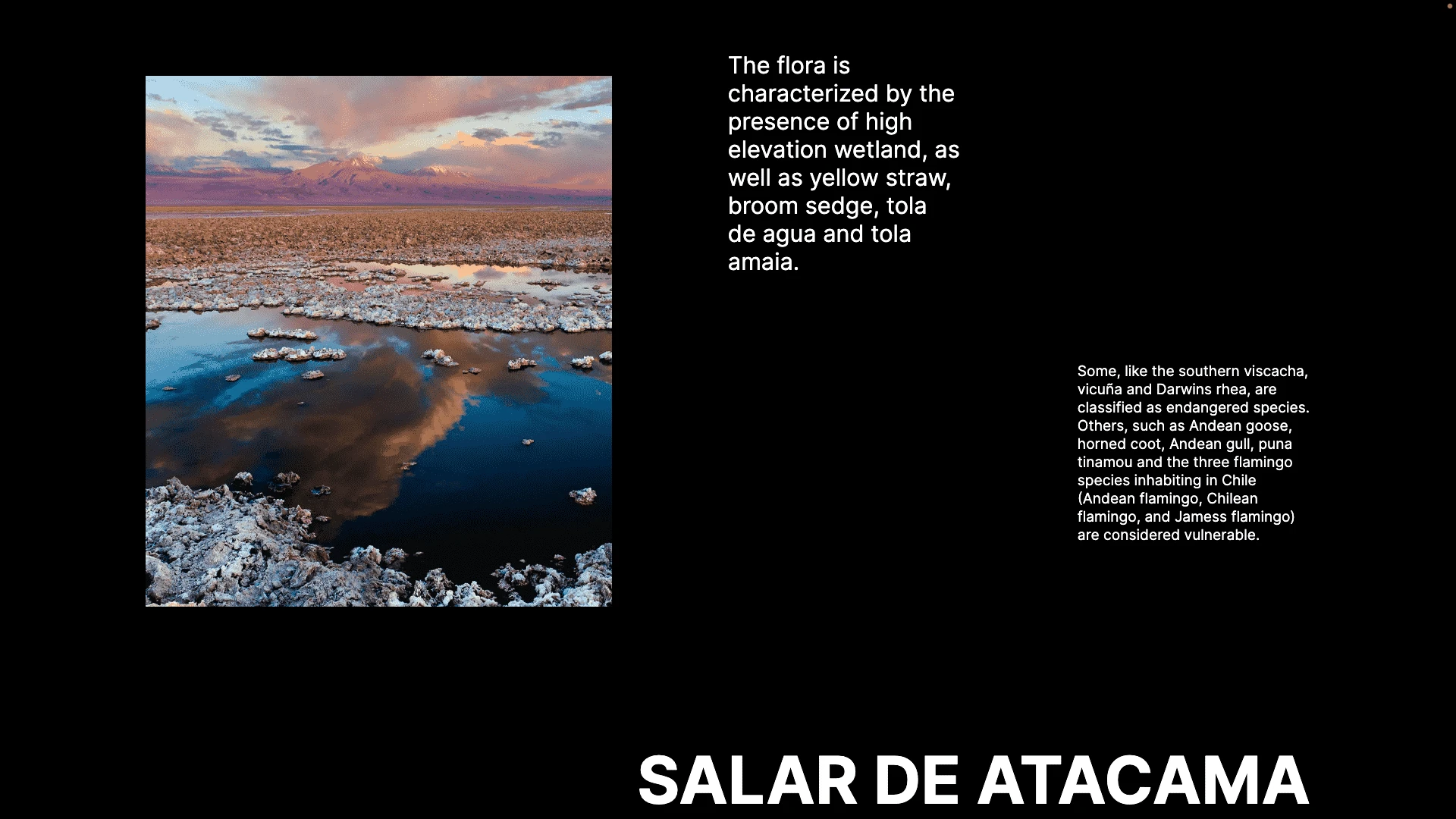 A beautiful landscape